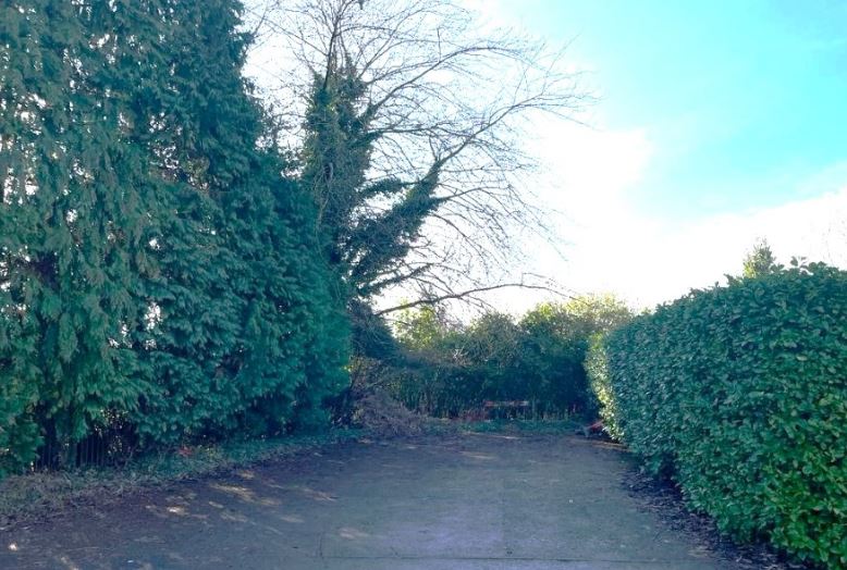 Coed Ceirios, Rhiwbina, Cardiff  – Sought After Residential Development Opportunity